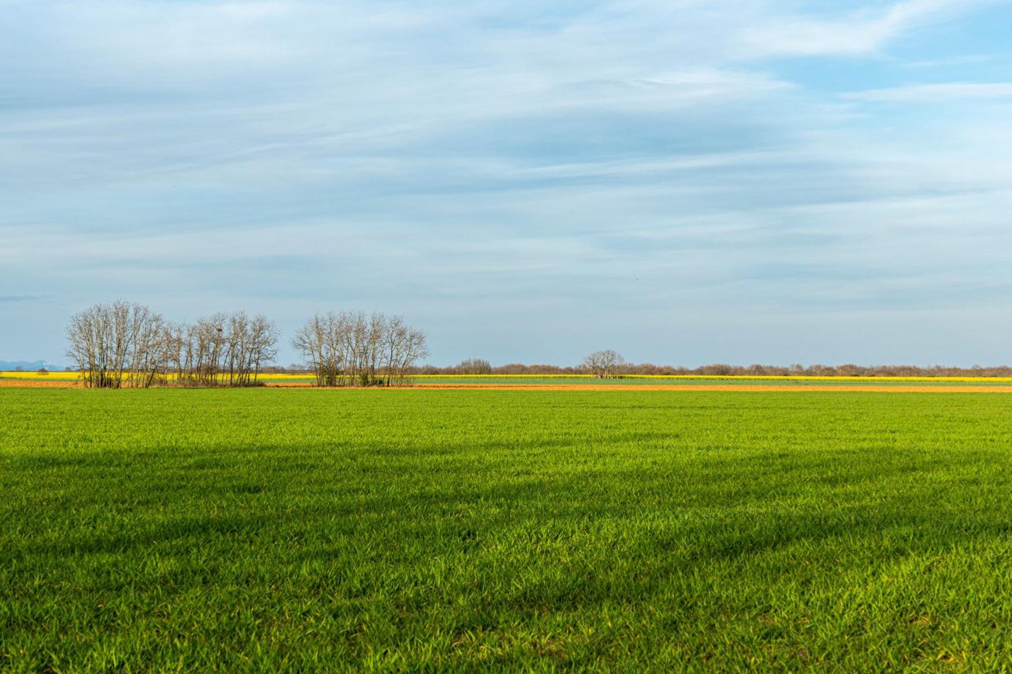 Descubre La Cepedana: Casa Rural Con Encanto En Cogorderos, A Solo 10 Km De Astorga Esterno foto